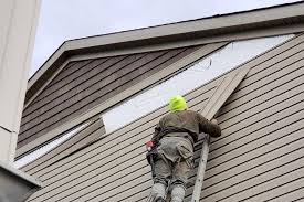 Best Historical Building Siding Restoration  in Bradley, IL